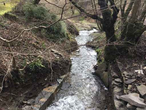 Stream through my garden A flowing creek surrounded by rocks and sparse trees in a natural setting.