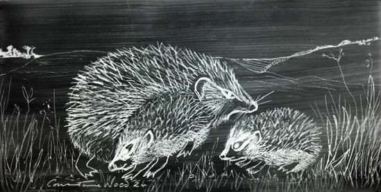 Baby Hoglets with Mum - Glass Sgraffito Three hedgehogs foraging on the ground, set against a dark background.