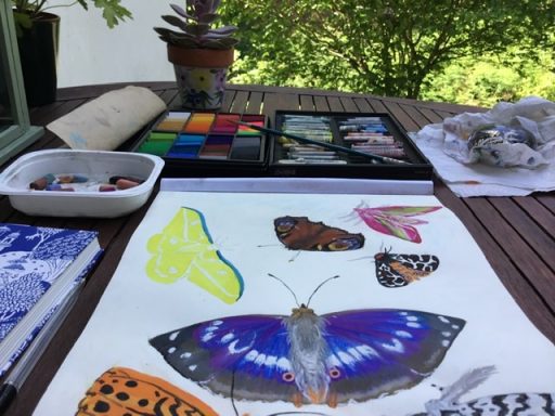 Butterflies & Moths Art supplies and a painting of various butterflies on a wooden table outdoors.